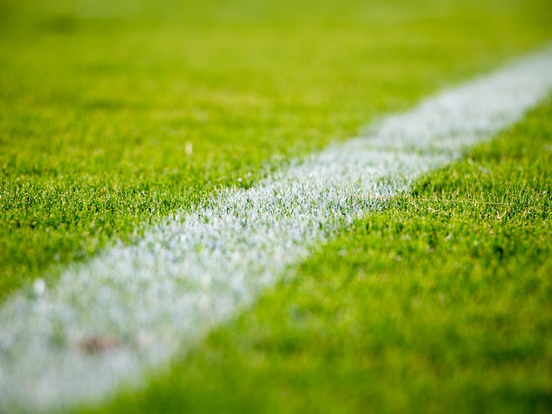 A painted white line across a close-cropped grass pitch.